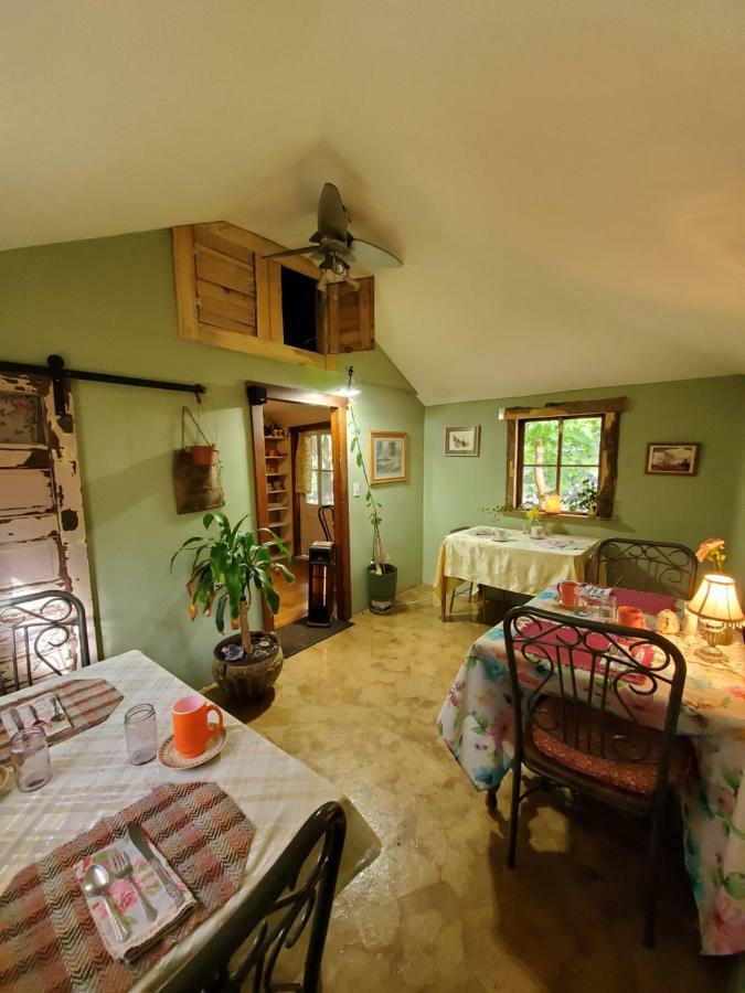 Bristol Cabins 라바 핫 스프링스 외부 사진