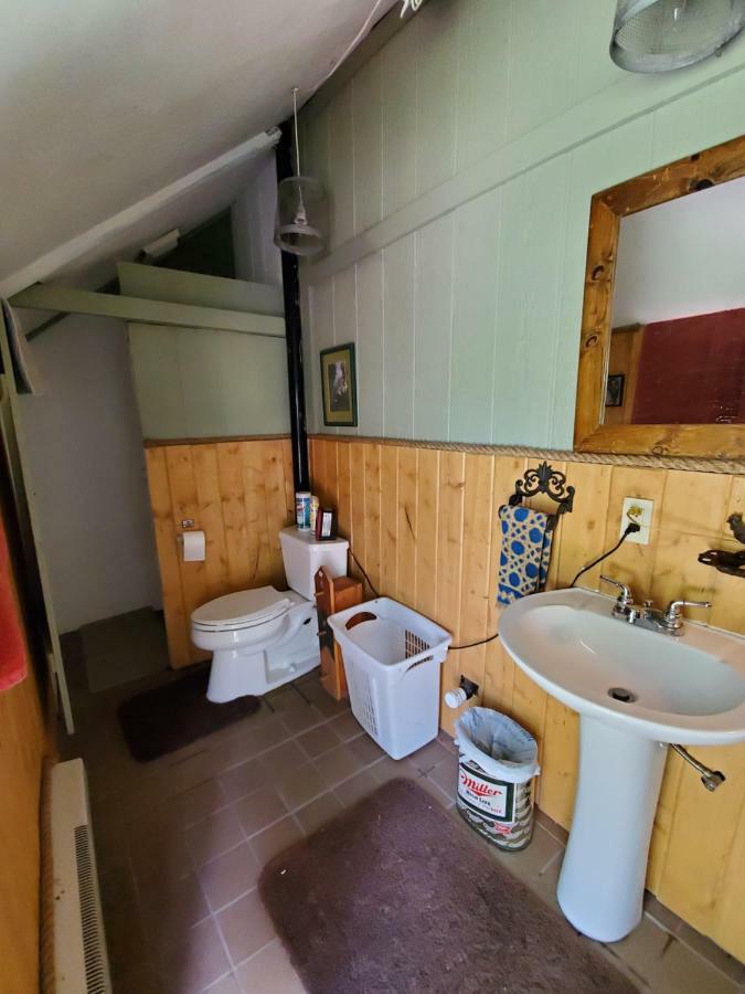 Bristol Cabins 라바 핫 스프링스 외부 사진
