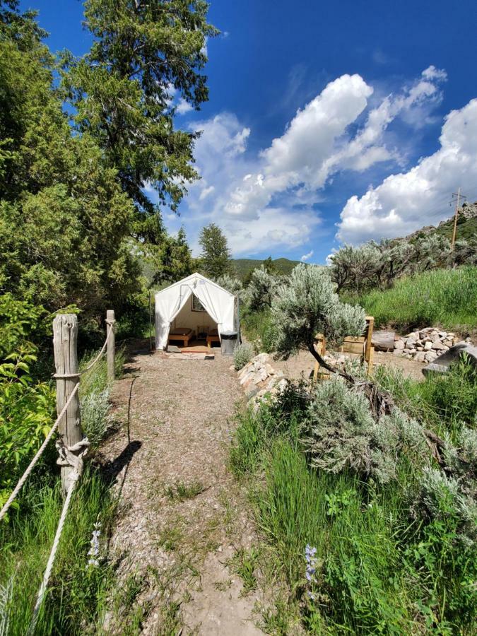Bristol Cabins 라바 핫 스프링스 외부 사진