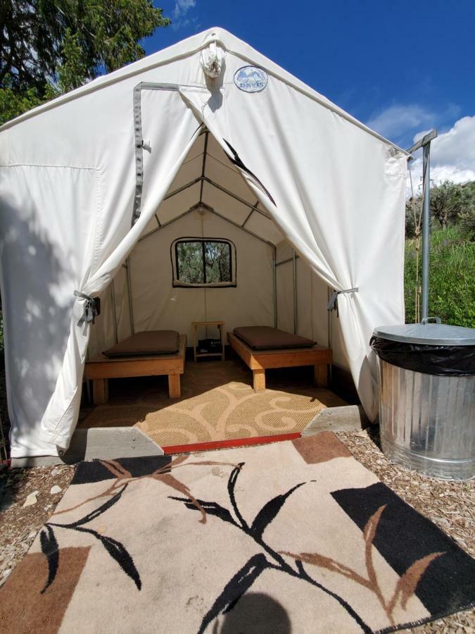 Bristol Cabins 라바 핫 스프링스 외부 사진